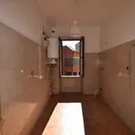 Rent 2 bedroom apartment of 80 m² in Roma