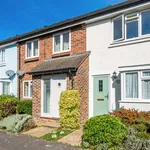 Rent 1 bedroom apartment in Chichester