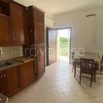 Rent 3 bedroom apartment of 66 m² in Zagarolo