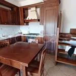 Rent 3 bedroom apartment of 80 m² in Rome