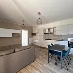 Rent 2 bedroom apartment of 52 m² in Fiorenzuola d'Arda