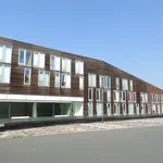 Rent 4 bedroom apartment of 134 m² in Groningen