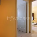 Rent 2 bedroom apartment of 75 m² in Bologna