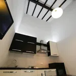 Rent 1 bedroom apartment of 60 m² in Pisa