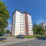 Rent 4 bedroom apartment of 77 m² in Flensburg