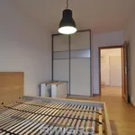 Rent 2 bedroom apartment in Brno