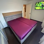 Rent 3 bedroom apartment of 86 m² in Nuremberg