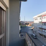 Rent 3 bedroom apartment in Porto