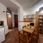 Rent 2 bedroom apartment of 48 m² in Velletri