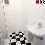 Rent 1 bedroom apartment in Brno