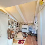 Rent 3 bedroom apartment of 85 m² in Firenze