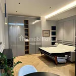 Rent 1 bedroom apartment of 40 m² in Turin