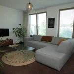 Rent 2 bedroom apartment of 71 m² in De Wijert