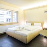 Rent 1 bedroom apartment of 25 m² in Heidelberg