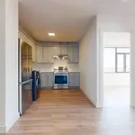 Rent 1 bedroom apartment in Queens