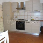 Rent 4 bedroom house of 140 m² in Pignataro Interamna