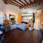 Rent 1 bedroom apartment of 25 m² in Firenze