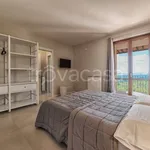 Rent 3 bedroom apartment of 80 m² in Montalcino