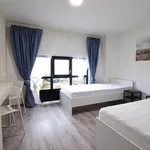 Rent 1 bedroom apartment in Brno