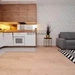 Rent 2 bedroom apartment of 36 m² in Toruń