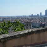 Rent 1 bedroom apartment of 17 m² in Lyon 5