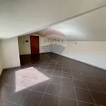 Rent 3 bedroom apartment of 110 m² in Bagheria