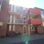 Rent 1 bedroom apartment of 55 m² in groningen