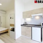 Rent 1 bedroom apartment of 19 m² in Brno