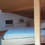 Rent a room of 25 m² in Ribeira Brava