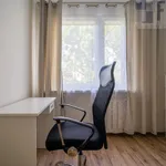 Rent 2 bedroom apartment of 50 m² in Łódź