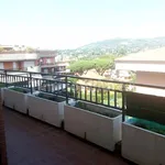 Rent 2 bedroom apartment of 45 m² in Grottaferrata