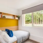 Rent 1 bedroom flat in Brighton