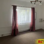 Rent 1 bedroom apartment in Tišnov