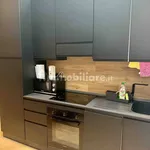 Rent 1 bedroom apartment of 40 m² in Turin