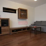 Rent 2 bedroom apartment of 50 m² in Krakow