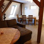 Rent 1 bedroom apartment of 39 m² in Zwickau