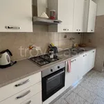 Rent 2 bedroom apartment of 60 m² in Piacenza