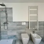 Rent 2 bedroom apartment of 60 m² in Padova