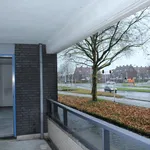 Rent 3 bedroom apartment of 111 m² in Papendrecht