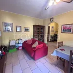 Rent 4 bedroom apartment of 100 m² in Perugia