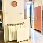 Rent 2 bedroom apartment of 50 m² in Triest