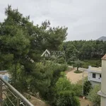 Rent 3 bedroom house of 335 m² in Κέντρο