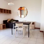 Rent 2 bedroom apartment of 55 m² in Pisa