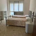 Rent 3 bedroom apartment of 80 m² in Turin