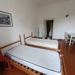 Rent 2 bedroom apartment of 72 m² in Milano