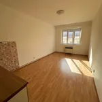 Rent 1 bedroom apartment of 1 m² in Praha