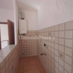 Rent 2 bedroom apartment of 55 m² in Terni