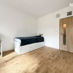 Rent 1 bedroom apartment of 20 m² in Brno