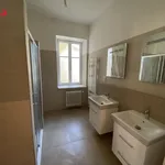 Rent 3 bedroom apartment of 120 m² in vyskov