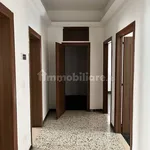 Rent 5 bedroom apartment of 100 m² in Bologna